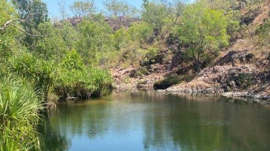 A popular watering hole at Surprise Creek. Picture: Minister for Parks and Rangers