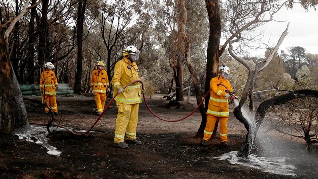 A CFS crew mops up on Mount Bold Rd after the Cherry Gardens fire in January this year. Picture: Kelly Barnes