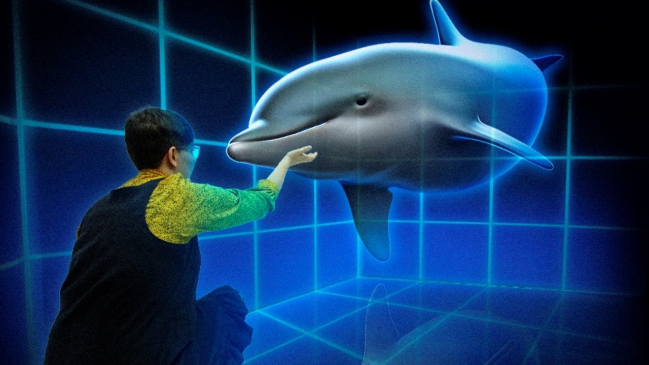 The Hologram Zoo at Cannon Hill in Brisbane. Picture: Supplied