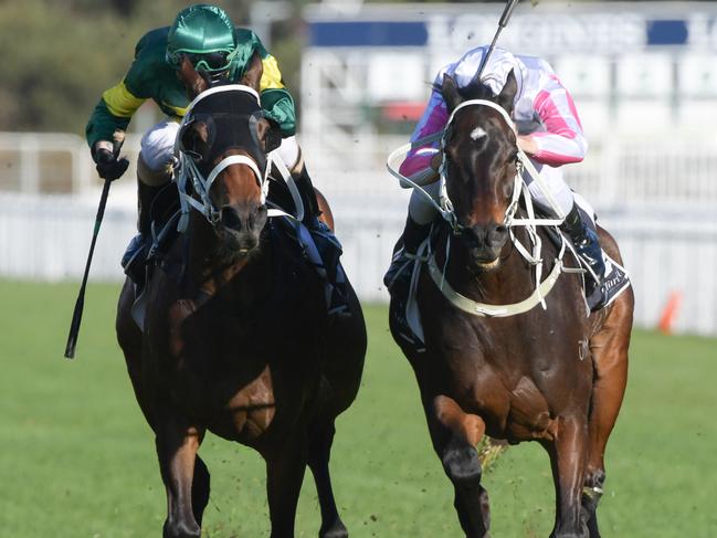 Jockey Sam Clipperton rides Destiny's Kiss to victory in race 6, the Winter Cup during the Rosehill Gardens Raceday at Rosehill in Sydney, Saturday, June 15, 2019. (AAP Image/Simon Bullard) NO ARCHIVING, EDITORIAL USE ONLY