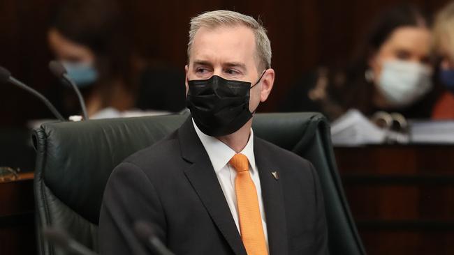 Deputy Premier Michael Ferguson. Parliament question time the first as Premier for Jeremy Rockliff. Picture: Nikki Davis-Jones