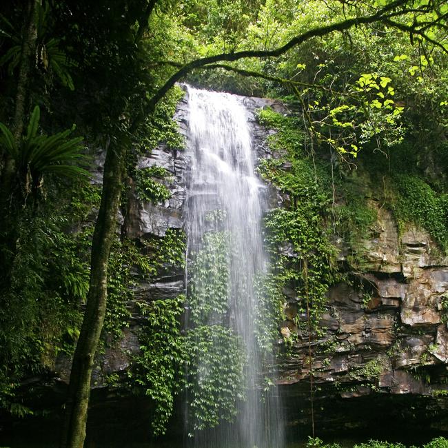 Crystal Shower Falls, Dorrigo National Park, one of the Gondwana Rainforests of Australia World Heritage Area.