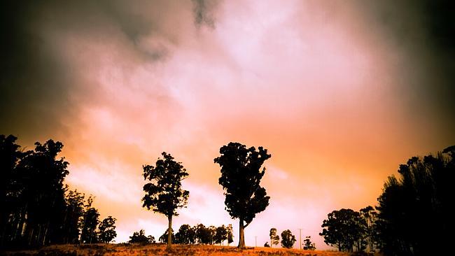 Minimalist afternoon landscape of trees in a hill clearing underneath purple and orange copy-space clouds. Ellendale Tasmania