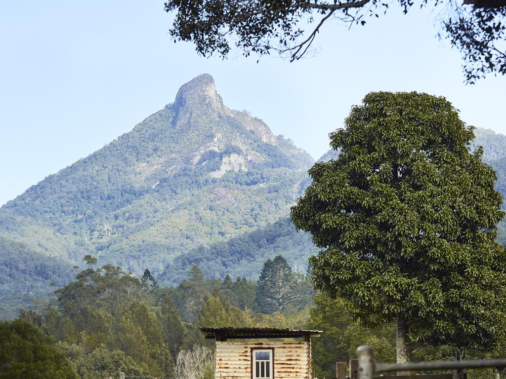 Wollumbin - Mt Warning.