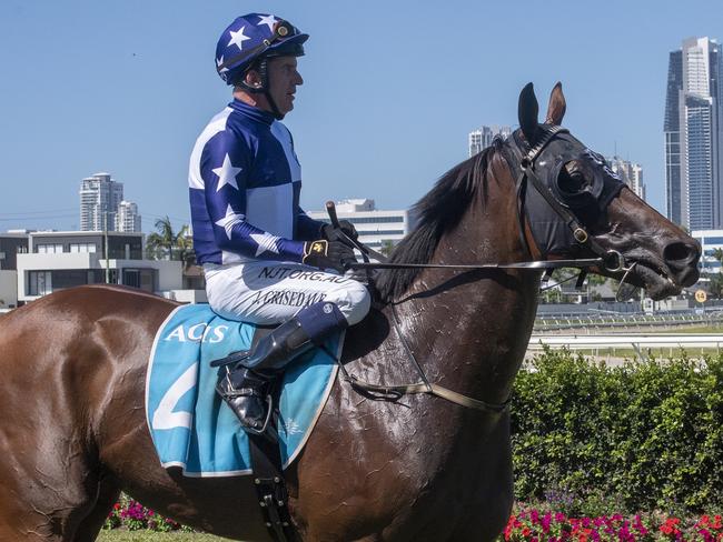 Jockey Jon Grisedale rode Tiomo to victory in the Class 1 Handicap (1800m) at the Gold Coast Turf Club on Saturday, March 21, 2020. Picture credit: Greg Irvine, Magic Millions.