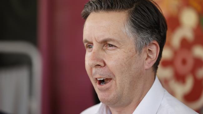 Health Minister Mark Butler. Picture: Tim Hunter