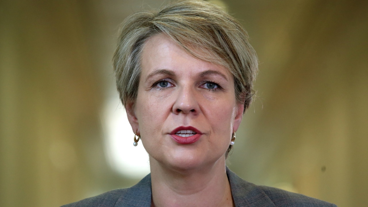 Environment Minister Tanya Plibersek condemns pro-Palestine protests