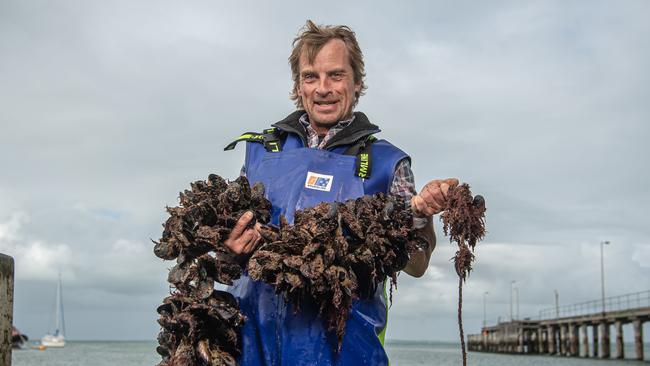 Flinders Mussels founder Harry Mussel is one of the 2021 Delicious Harvey Norman Produce Awards Victorian winners. Picture: Jason Edwards.