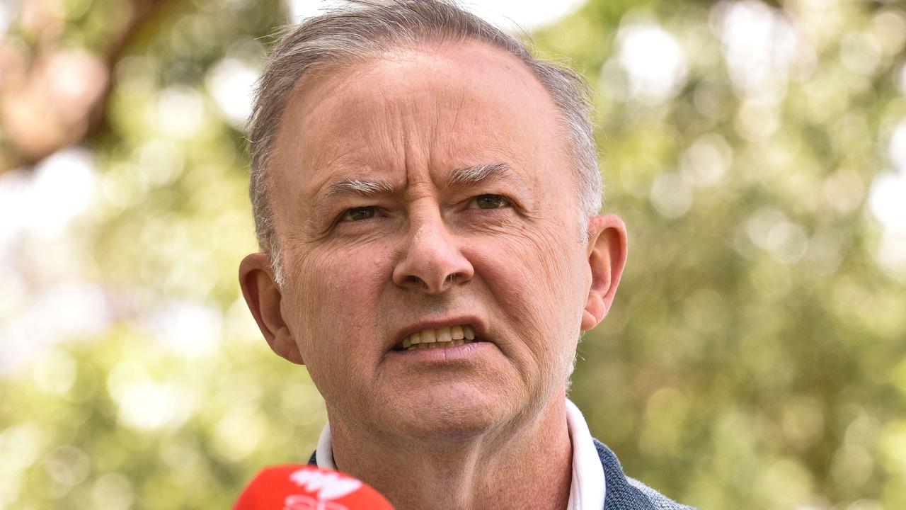 Opposition leader Anthony Albanese is yet to set a 2030 target for emissions reduction. Picture: NCA NewsWire / Flavio Brancaleone