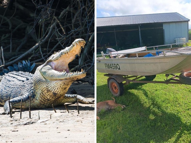 Croc ‘launches’ itself at fisherman