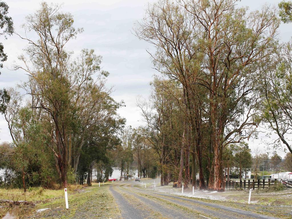 Trees stripped and debris across the roads in the Mary Valley. Photo Lachie Millard