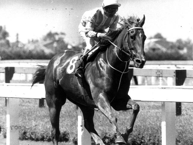 Powerhouse sprinter Manikato was a crowd favourite for many years.