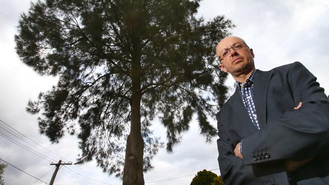 Yarra Ranges Councillor Andrew Witlox wants the council to have more power to resolve tree issues. Picture: David Crosling