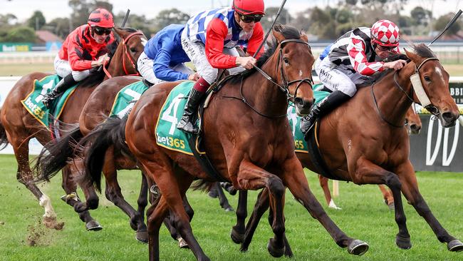 Golden Estrella can improve on a promising first-up run when she steps out at Pakenham on Thursday. Picture: Racing Photos via Getty Images.