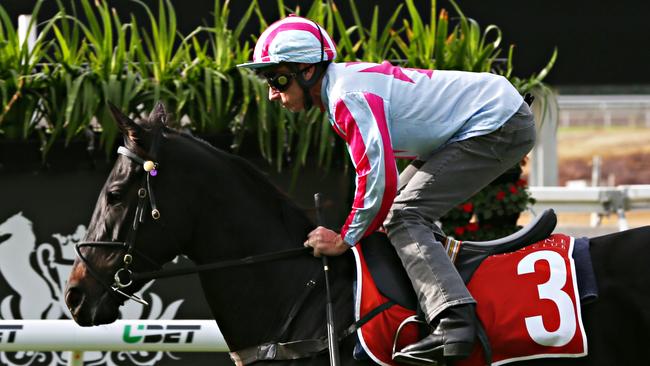 Azkadellia is favourite for the Group 1 Tatt’s Tiara on Saturday. Picture: Annette Dew