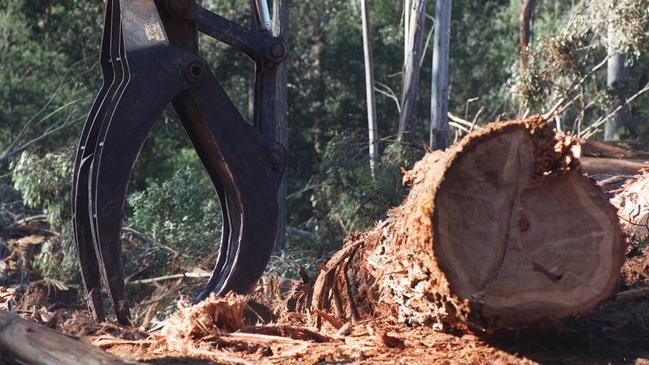 Senator Raff Ciccone has warned green groups and other critics to work with the Australian forestry industry to provide sustainable timber solutions.