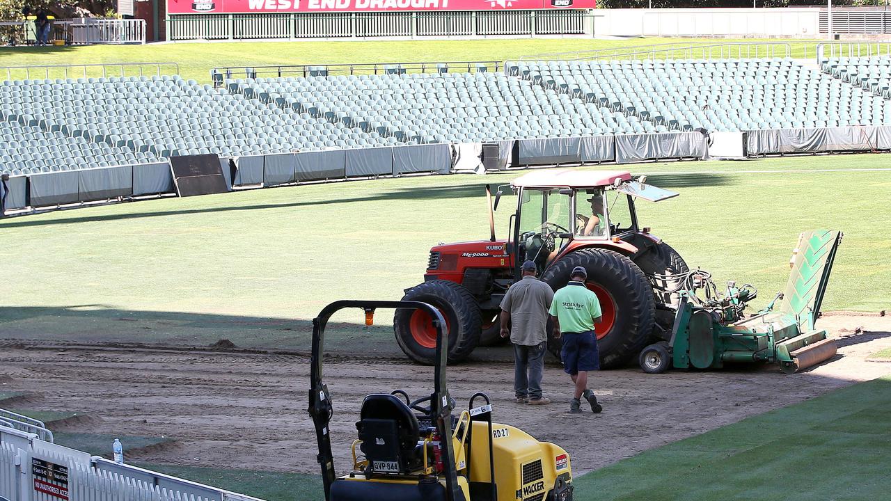 Adelaide Test Adelaide Oval curator’s daynight pitch guarantee. The