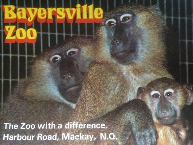 A postcard from Bayersville Zoo. Picture: Geoff Beetlenut via Have you seen the Old Mackay