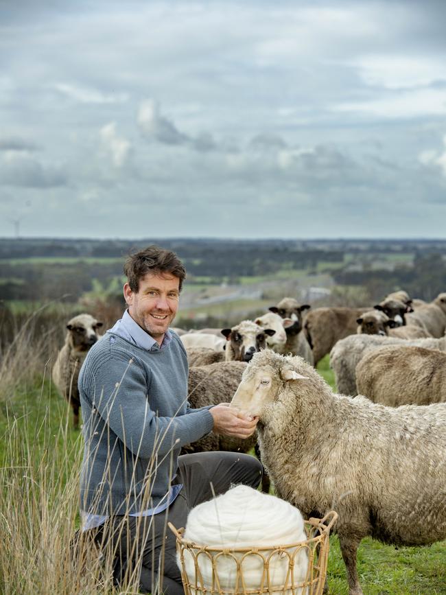 Tom with his Polwarth sheep. Picture: Zoe Phillips