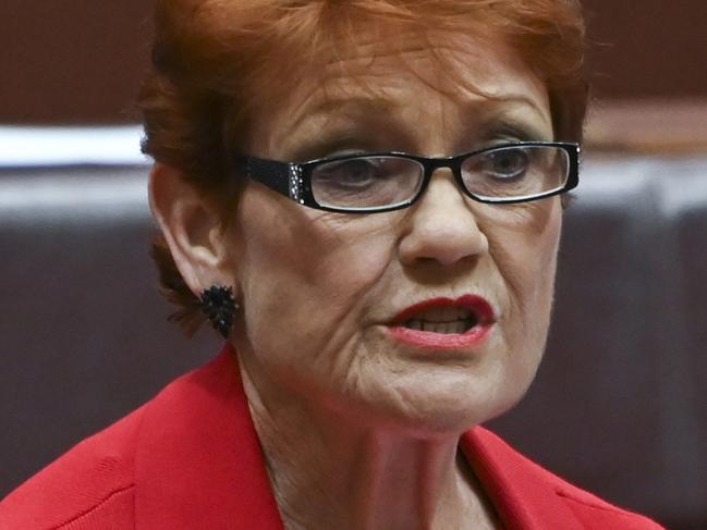 CANBERRA, AUSTRALIA - NewsWire Photos September 27, 2022: Senator Pauline Hanson during Question Time at Parliament House in Canberra. Picture: NCA NewsWire / Martin Ollman