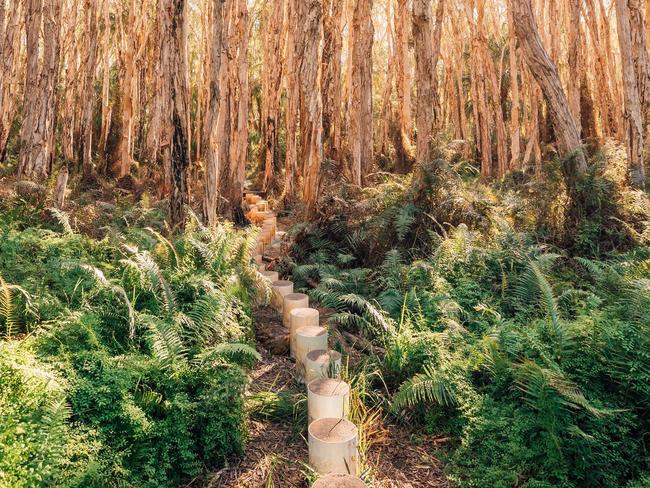 17. FOLLOW THE PAPERBARK TRAIL You might find yourself believing in fairies along this short 400-metre trail in Agnes Waters. Step your way to the thrum of frog calls, surrounded by butterflies and lorikeets.