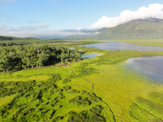 An internationally recognised wetlands in Bowling Green Bay National Park has received a $2 million boost.