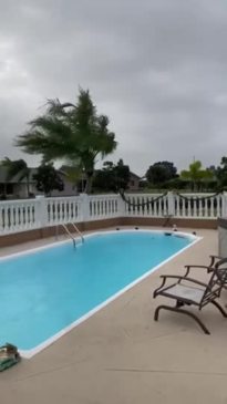Angin Kuat Meniup Pohon di Pantai Teluk Florida saat Tornado Watch Dikeluarkan