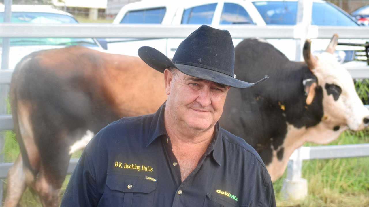 THE KING: Brian King with his bulls at the Mundubbera Show last year. Picture: Philippe Coquerand