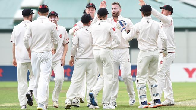 Matt Doric celebrates a wicket. Picture: Josie Hayden