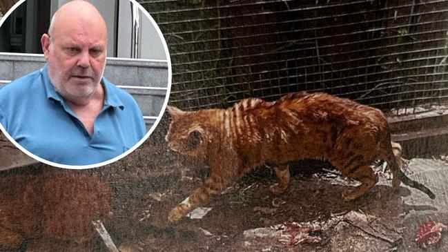 Jon Wade kept more than 70 cats in "squalid" conditions.