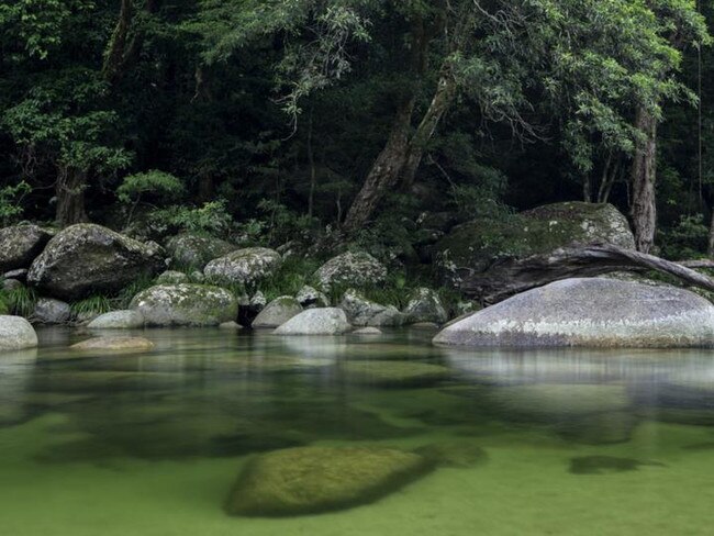 Mosman Gorge Daintree National Park Queensland