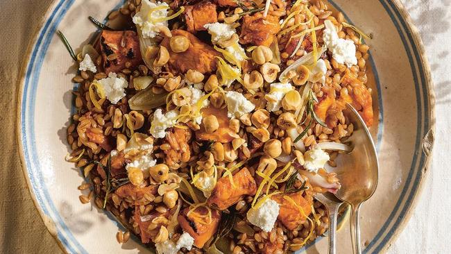 Farro, pumpkin and hazelnut salad by Saghar Setareh is a winner