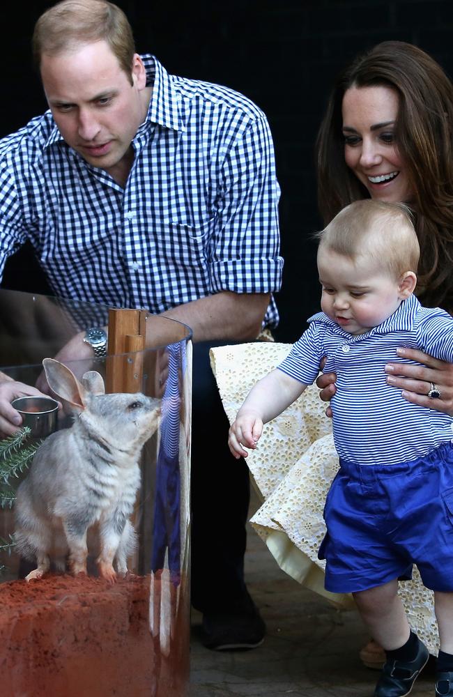 The Duke and Duchess of Cambridge, with Prince George, meet a bilby at Sydney’s Taronga Zoo on April 20, 2014. Picture: Chris Jackson/Getty Images