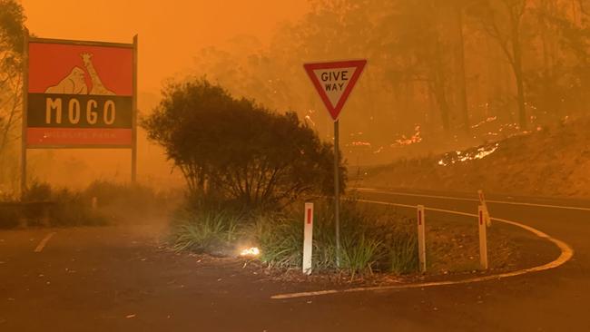 Fire approaches the entrance to Mogo Zoo. Picture: Chad Staples