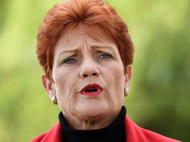 One Nation's Pauline Hanson takes questions from the media during a news conference in Brisbane, Monday, July 4, 2016. The One Nation leader believes her party could win two Senate seats seats in Queensland, one seat in NSW and Western Australia and possibly one in each of Tasmania and South Australia. While Malcolm Turnbull and Bill Shorten have been phoning key crossbenchers about their support for a possible minority government, neither has spoken to Ms Hanson. (AAP Image/Dan Peled) NO ARCHIVING