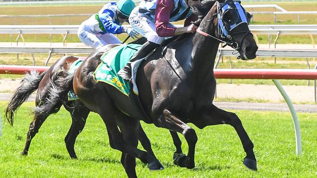 Mississippi Maggie and jockey Jamie Mott will again team up at Mornington on Tuesday. Picture: Racing Photos via Getty Images.