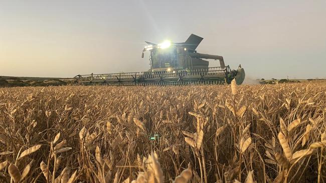 Murraylands farmer Andrew Thomas said he just finished what was his "best harvest ever". Picture: Andrew Thomas.