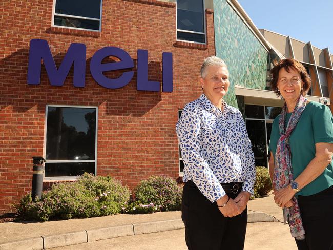 Meli Family Safety and Therapeutic services director Lisa Robinson and Geelong Community Foundation chief executive officer Gail Rodgers. Picture: Alison Wynd