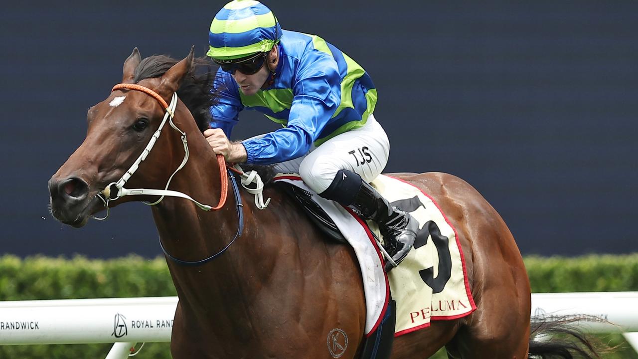 Magic Millions betting turned on its head as Nero reigns