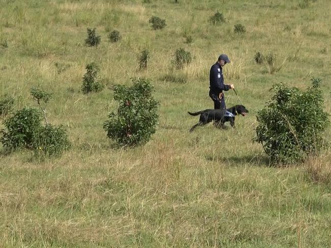 Police conducted an extensive search of the area where Ms Liddle was last seen. Picture: NSW Police