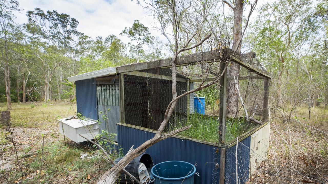 The old chook shed where Eli Campbell was bitten multiple times by a Taipan. Photo Lachie Millard