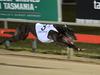 Wesley Vale greyhound racetrack stoush to soon play out in TASCAT