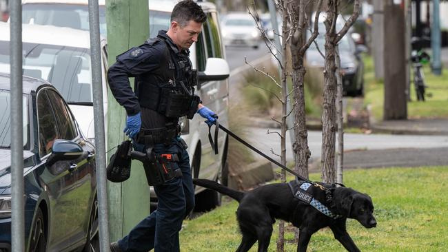 A sniffer dog was seen searching the property’s surroundings on Friday morning. Picture: Tony Gough