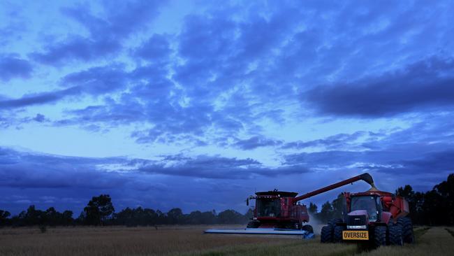 Rice harvest gets off to a positive start in NSW. Picture: Andy Rogers