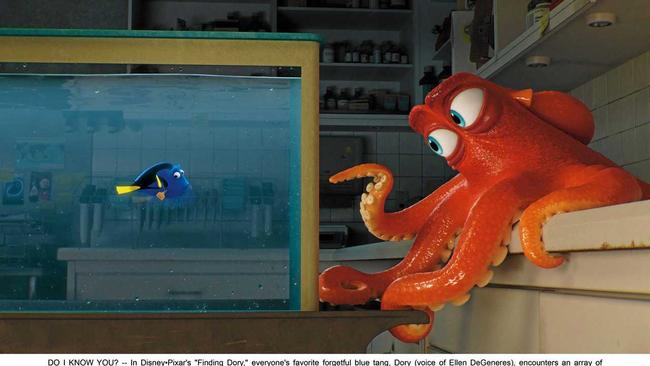 Forgetful blue tang Dory (Ellen DeGeneres) encounters a cantankerous octopus named Hank (Ed O'Neill) in the movie Finding Dory. Picture: Pixar