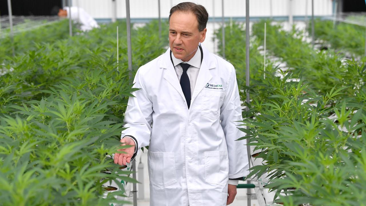 Federal Health Minister Greg Hunt is seen inspecting the cannabis plants at the opening of Tikun Oceania, then known as Medifarm, on the Sunshine Coast in 2019