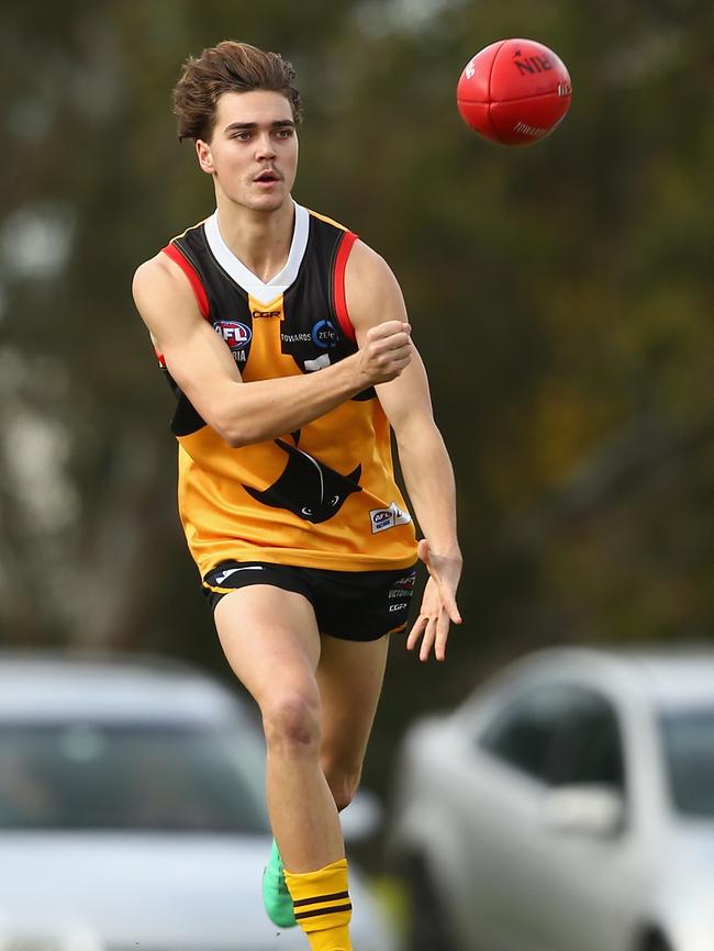 Jai Taylor fires off a handball with the Stingrays. 