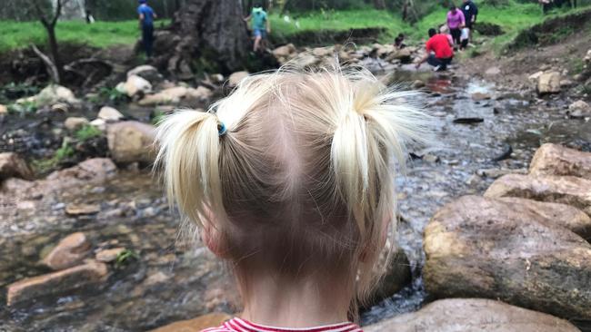 Eloise, 1, explores the creek at the Morialta Conservation Park nature Playground.