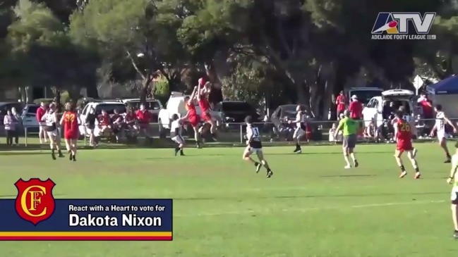 Adelaide Footy League Round 17 Marks of the Week