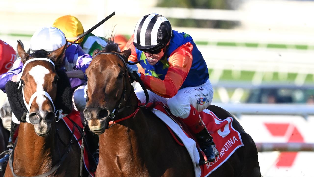 2024 Stradbroke Handicap order of entry: Tuvalu, Bella Nipotina new ...